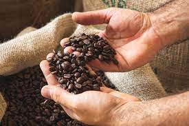 50 CIALDE CAFFE' KICO MISCELA RED